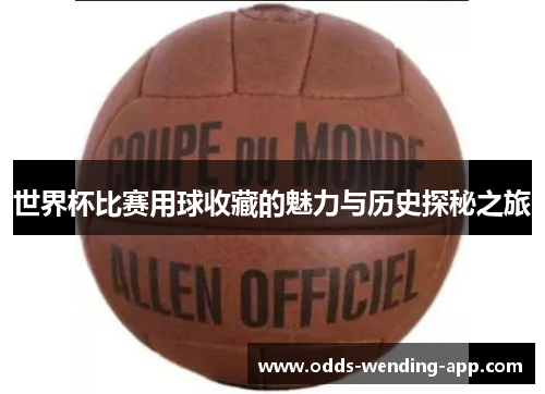 世界杯比赛用球收藏的魅力与历史探秘之旅