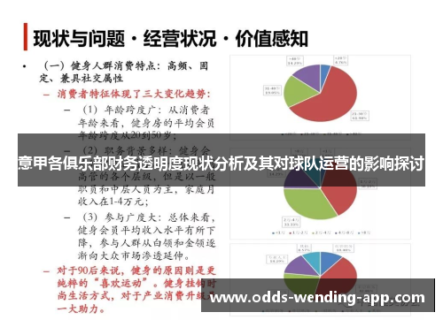 意甲各俱乐部财务透明度现状分析及其对球队运营的影响探讨