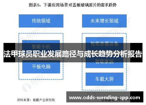 法甲球员职业发展路径与成长趋势分析报告