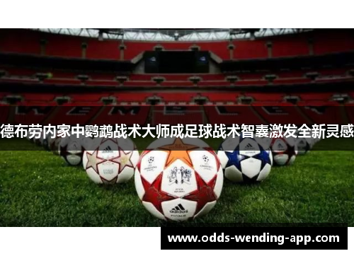 德布劳内家中鹦鹉战术大师成足球战术智囊激发全新灵感