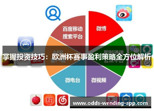 掌握投资技巧：欧洲杯赛事盈利策略全方位解析