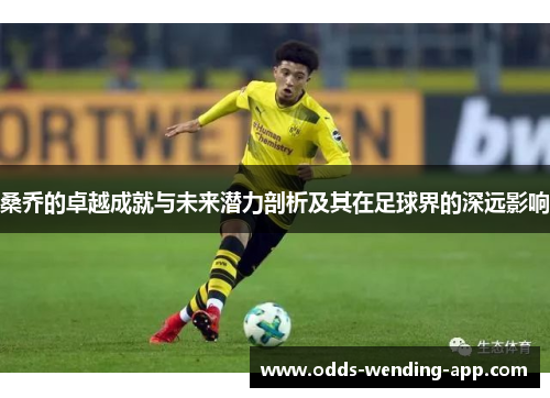 桑乔的卓越成就与未来潜力剖析及其在足球界的深远影响