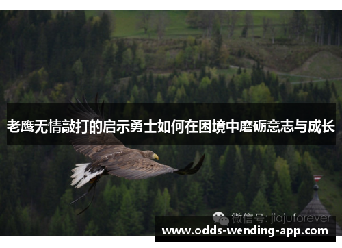 老鹰无情敲打的启示勇士如何在困境中磨砺意志与成长