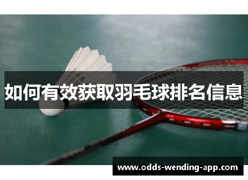 如何有效获取羽毛球排名信息
